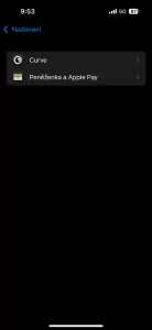 20250528 101115 945x2048x