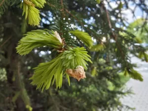 IMG 20250502 073519454 HDR 4096x3072x