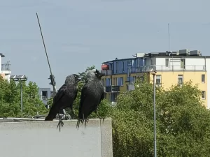 IMG 20250502 112740812 HDR 4096x3072x
