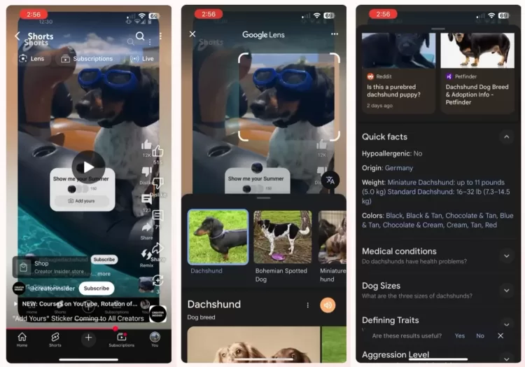 Google Lens míří do Youtube Shorts