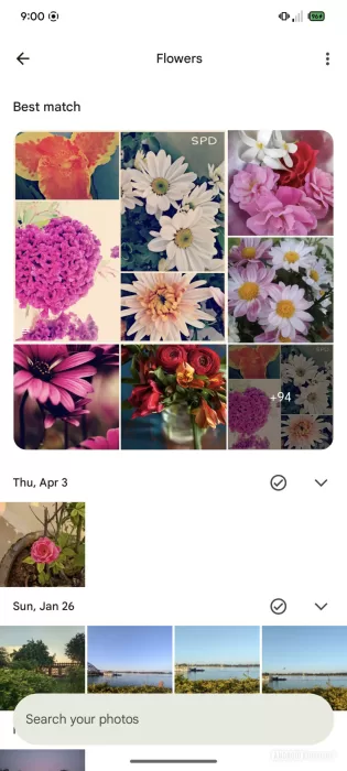 Google Photos new search UI AssembleDebug scaledjpg 1152x2560x