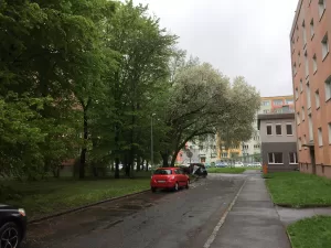 IMG 0021 3264x2448x