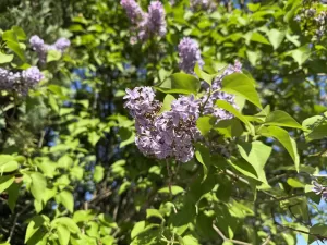 IMG 6516 5712x4284x