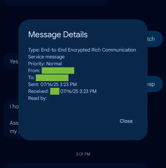 Google Messages Details old 2 864x876x
