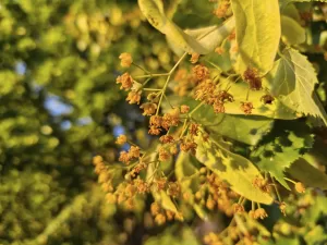 IMG 20250702 054451806 4096x3072x