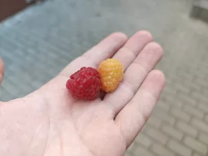 IMG 20250702 075809933 4096x3072x