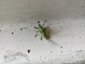 IMG 20250702 122736155 4096x3072x