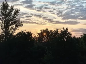 IMG 20250704 052138223 4096x3072x