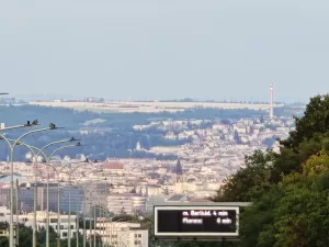 IMG 20250704 052908234 4096x3072x