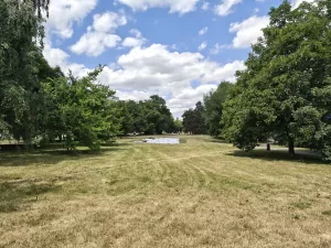 IMG 20250704 122936253 4096x3072x