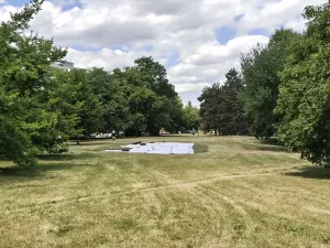 IMG 20250704 122937842 4096x3072x