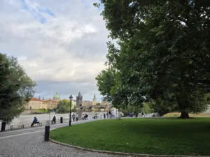 20250728 193521 4000x3000x