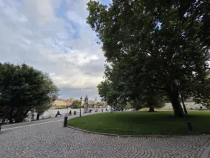 20250728 193527 4000x3000x