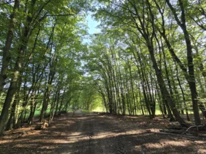 20250810 084325 4000x3000x