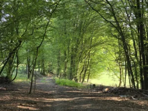 20250810 084328 4000x3000x