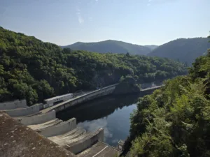 20250810 085629 4000x3000x