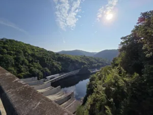 20250810 085632 4000x3000x