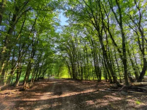 IMG 20250810 084152 4032x3024x