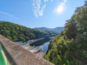 IMG 20250810 085712 4032x3024x