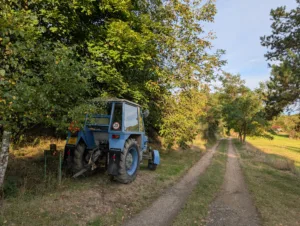 PXL 20250830 164933640 4080x3072x