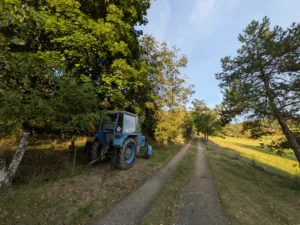 PXL 20250830 164940954 4000x3000x