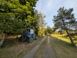 PXL 20250830 164941830 4080x3072x