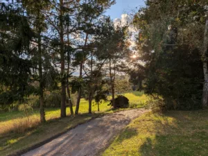 PXL 20250830 165517787 4000x3000x