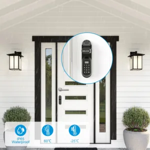 WELOCK Smart Lock U81