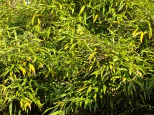 IMG20251028092443 4096x3072x