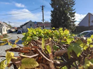 IMG20251028100223 4096x3072x