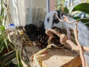 IMG20251028100553 4096x3072x