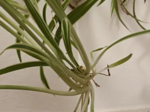 IMG20251028162127 4096x3072x