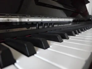 IMG20251030065905 4096x3072x