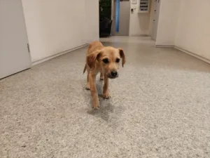 IMG20251030074833 4096x3072x