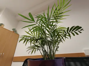 IMG20251030081514 4096x3072x