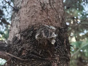 IMG20251030090702 4096x3072x