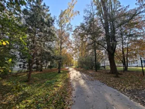 IMG20251030151322 4096x3072x