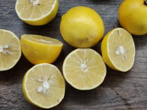 IMG20251107214026 4096x3072x