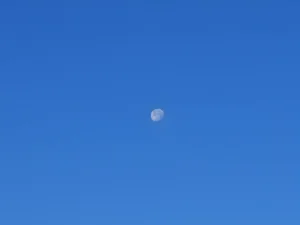 IMG20251108082549 4096x3072x