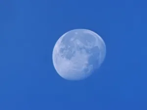 IMG20251108082606 4096x3072x