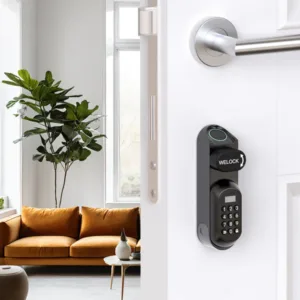 WELOCK Smart Lock U81