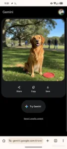 gemini image share link scaledjpg 1152x2560x