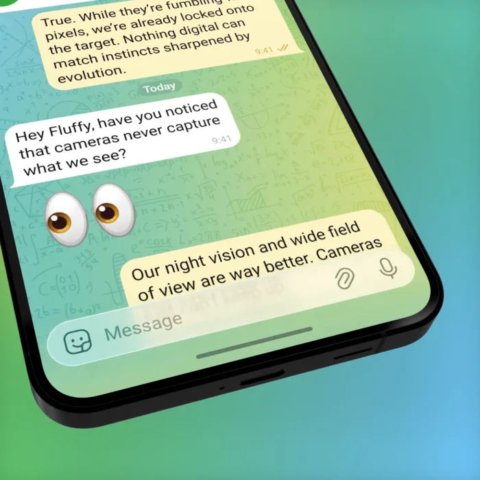 videoframe 2306 1920x1920x