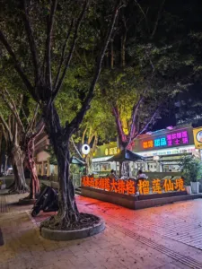 IMG 20251124 091054 3072x4096x