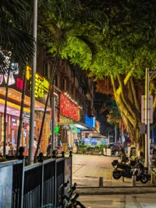 IMG 20251124 091113 3072x4080x