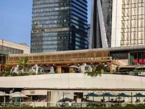 IMG 20251125 161644 4080x3072x