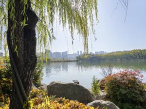 IMG 20251128 105355 4096x3072x