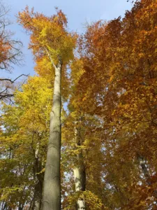 IMG 6363 5712x4284x