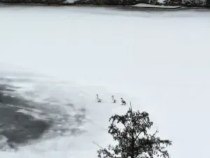 IMG 20260221 133938935 1925x1444x