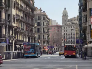 20260301 122240(0) 4000x3000x